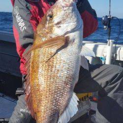 飛燕さくら丸 釣果