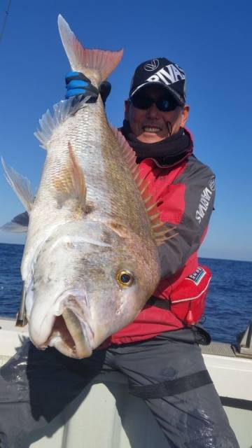 飛燕さくら丸 釣果