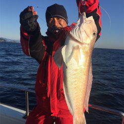 マタウマリンサービス 釣果