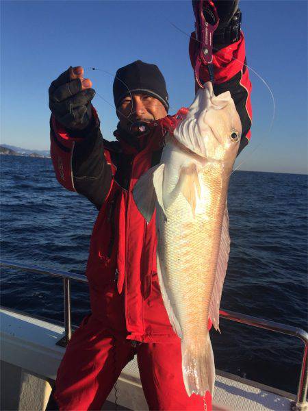 マタウマリンサービス 釣果