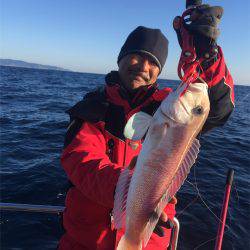 マタウマリンサービス 釣果