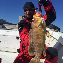 マタウマリンサービス 釣果