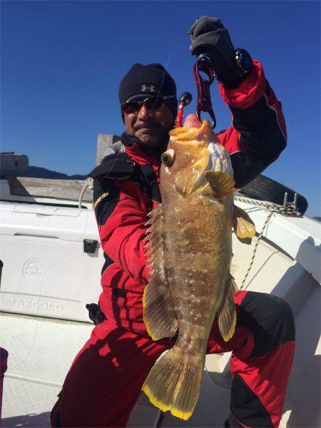 マタウマリンサービス 釣果