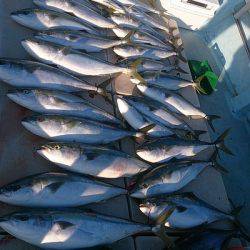 旭星釣りセンター 釣果