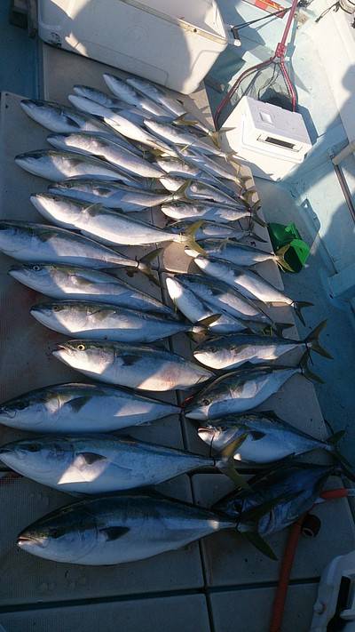 旭星釣りセンター 釣果