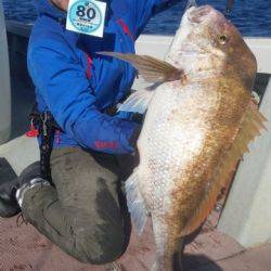 飛燕さくら丸 釣果