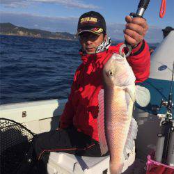 マタウマリンサービス 釣果