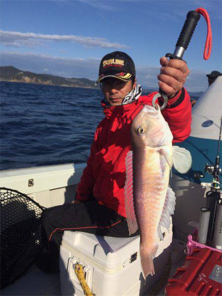 マタウマリンサービス 釣果