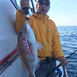 マタウマリンサービス 釣果