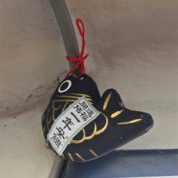 マタウマリンサービス 釣果