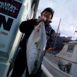 ファイヤードルフィン 釣果