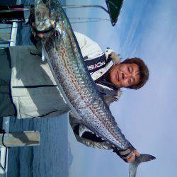 ファイヤードルフィン 釣果