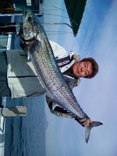 ファイヤードルフィン 釣果