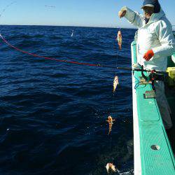 モンロー号 釣果