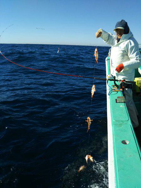 モンロー号 釣果