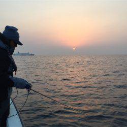 マタウマリンサービス 釣果