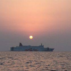 マタウマリンサービス 釣果