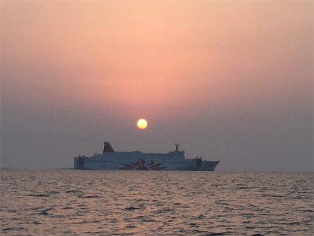 マタウマリンサービス 釣果