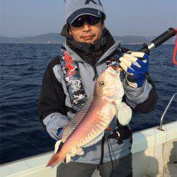 マタウマリンサービス 釣果