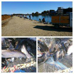 みどりフィッシングエリア 釣果