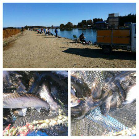 みどりフィッシングエリア 釣果