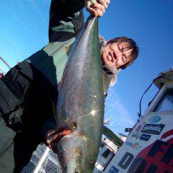 ファイヤードルフィン 釣果