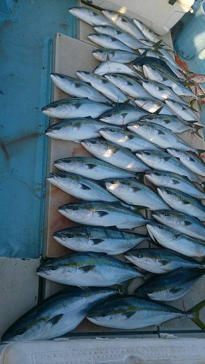 旭星釣りセンター 釣果