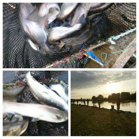 みどりフィッシングエリア 釣果