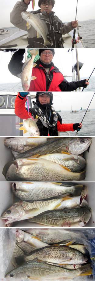 来温丸（らいおんまる） 釣果