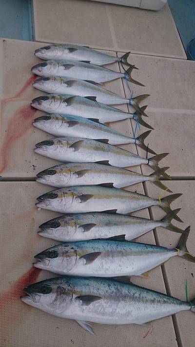 旭星釣りセンター 釣果