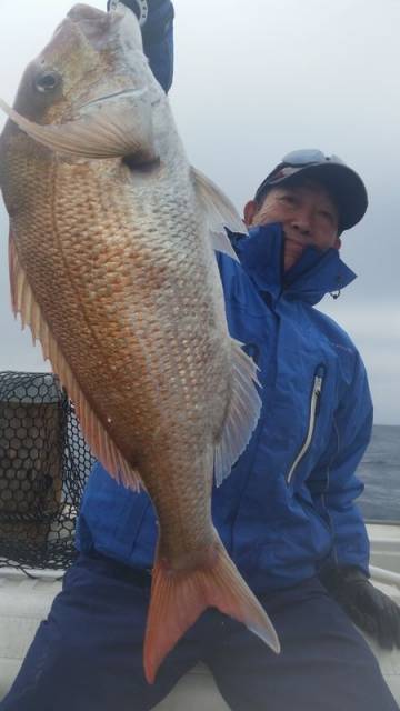 飛燕さくら丸 釣果