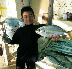 本部釣りイカダ 釣果