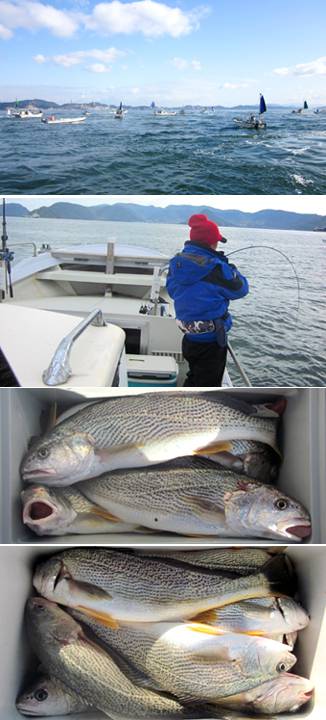 来温丸（らいおんまる） 釣果