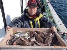 七福丸 釣果