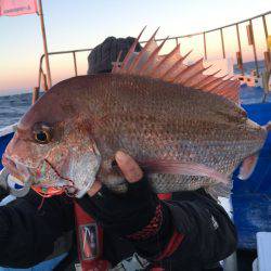 長栄丸(千葉) 釣果