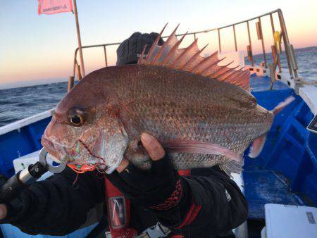 長栄丸(千葉) 釣果