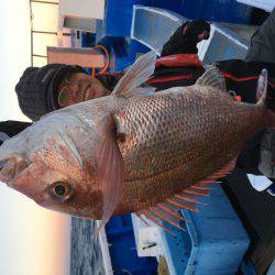 長栄丸(千葉) 釣果