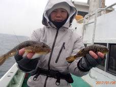 七福丸 釣果