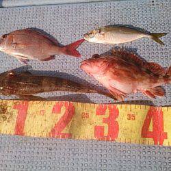 第二常豊丸 釣果