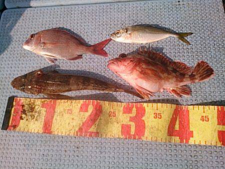 第二常豊丸 釣果