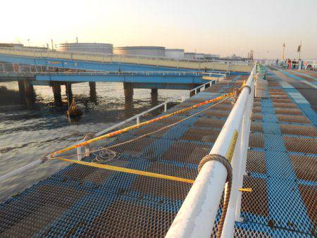 オリジナルメーカー海づり公園(市原市海づり施設) 釣果