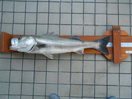 オリジナルメーカー海づり公園(市原市海づり…