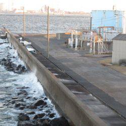 オリジナルメーカー海づり公園(市原市海づり施設) 釣果