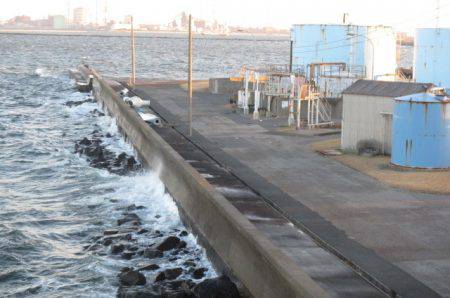 オリジナルメーカー海づり公園(市原市海づり施設) 釣果