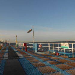 オリジナルメーカー海づり公園(市原市海づり施設) 釣果