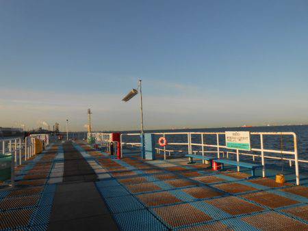 オリジナルメーカー海づり公園(市原市海づり施設) 釣果