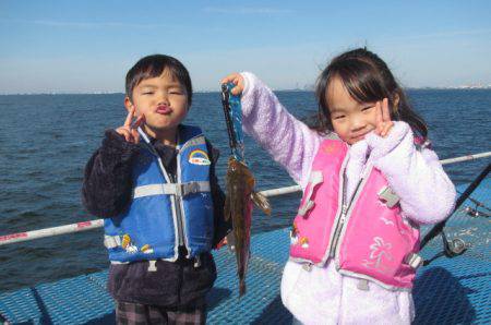 オリジナルメーカー海づり公園(市原市海づり施設) 釣果