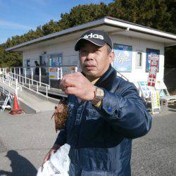 大阪南港海つり公園 釣果