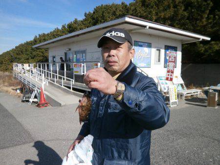 大阪南港海つり公園 釣果