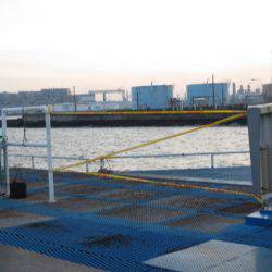 オリジナルメーカー海づり公園(市原市海づり施設) 釣果